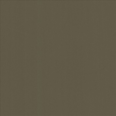 Kasmir ALTA VISTA       HAZEL           